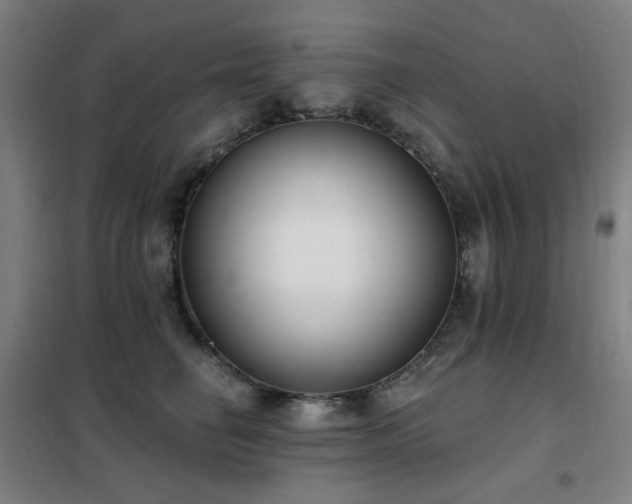 X0000102290662200807251423