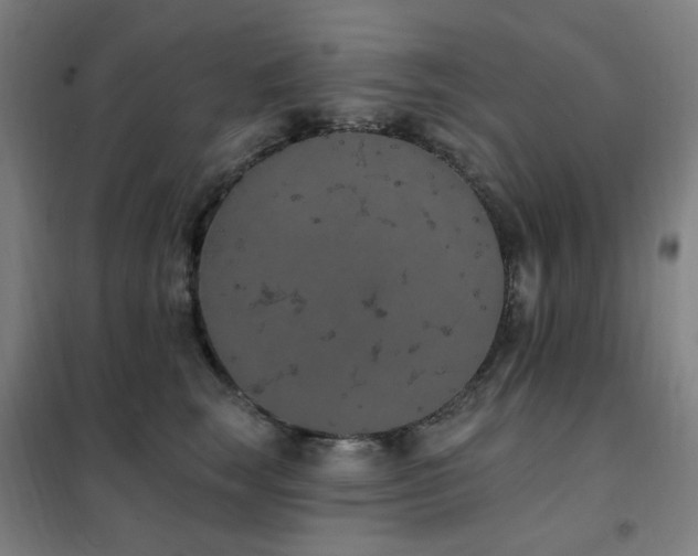 X0000102290663200807251423