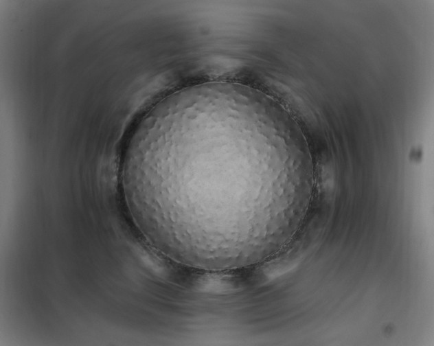 X0000102290664200807251423