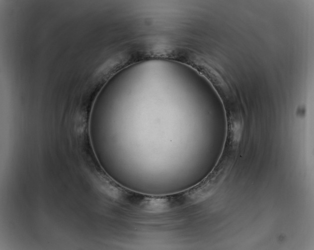 X0000102290665200807251423