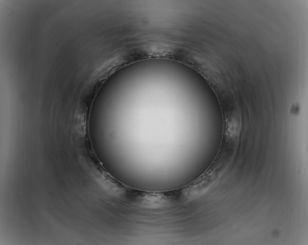 X0000102290666200807251423