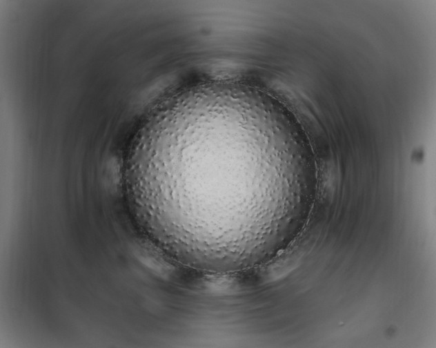 X0000102290667200807251423
