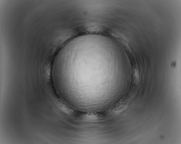 X0000102290668200807251423