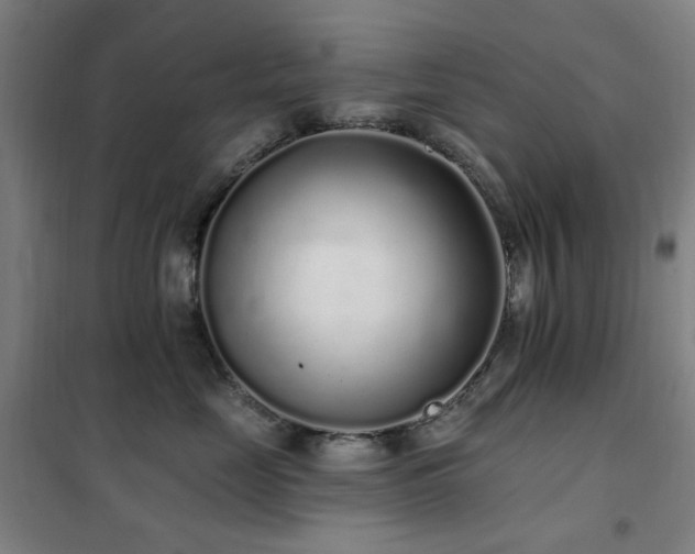 X0000102290669200807251423