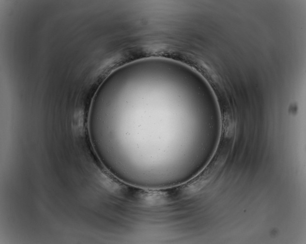 X0000102290670200807251423