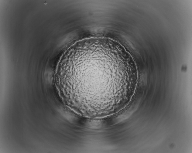 X0000102290671200807251423
