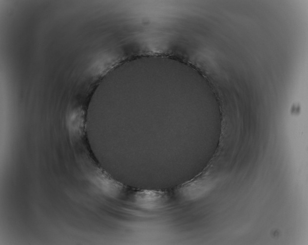 X0000102290672200807251423