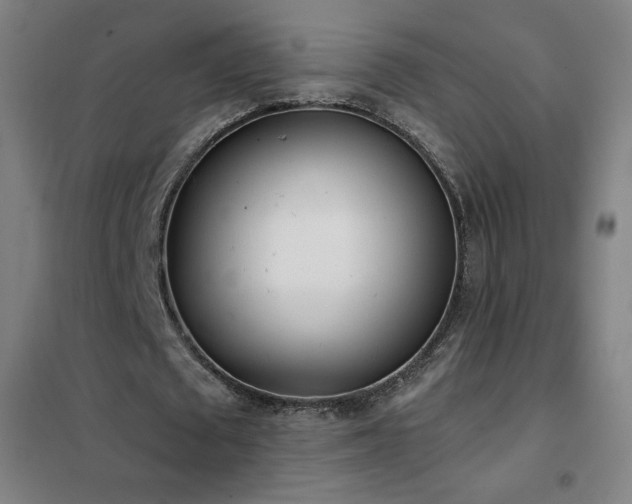 X0000102290673200807251422