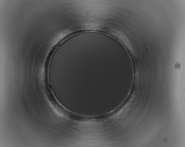 X0000102290674200807251422
