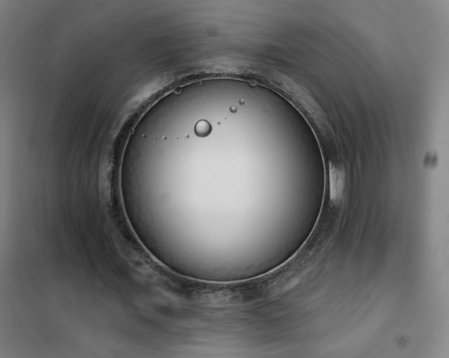 X0000102290675200807251422