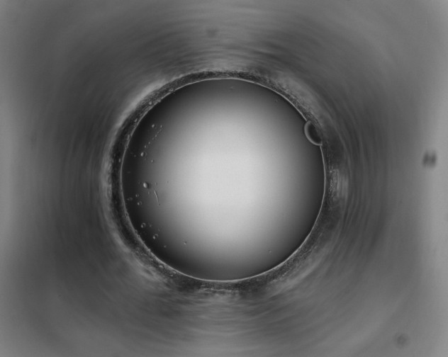 X0000102290676200807251422