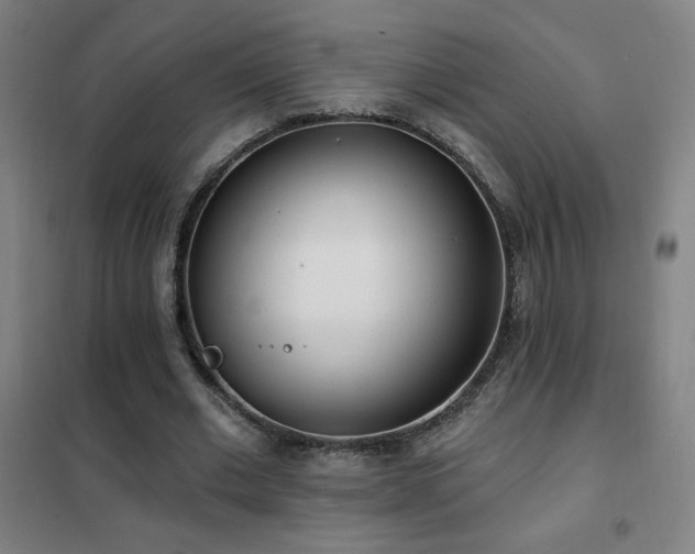 X0000102290677200807251422
