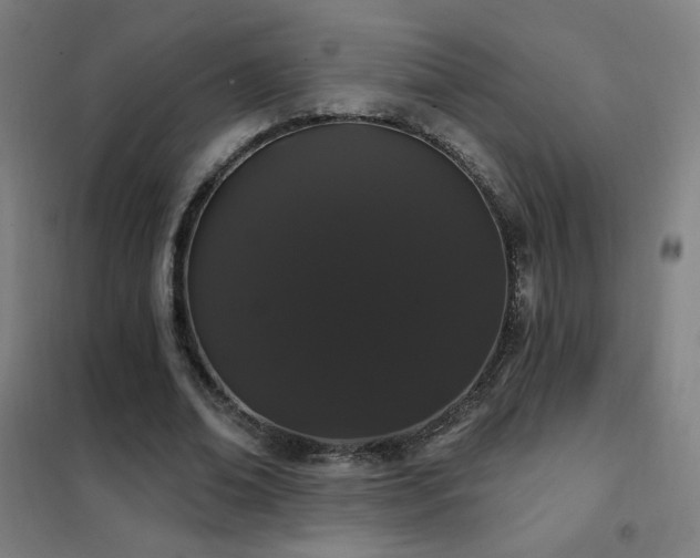 X0000102290678200807251422
