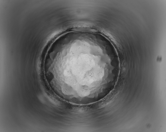X0000102290679200807251422