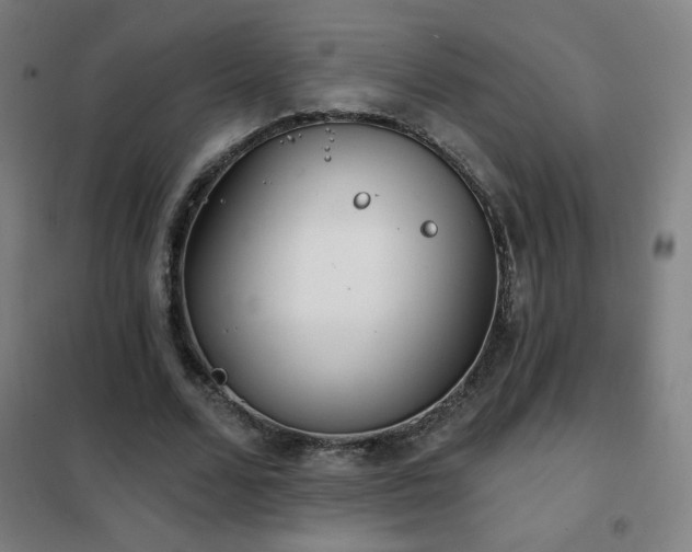 X0000102290680200807251422
