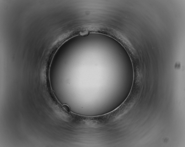 X0000102290681200807251422