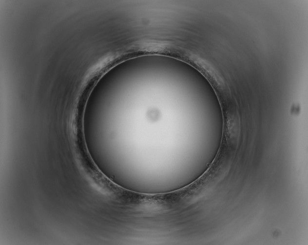 X0000102290682200807251422