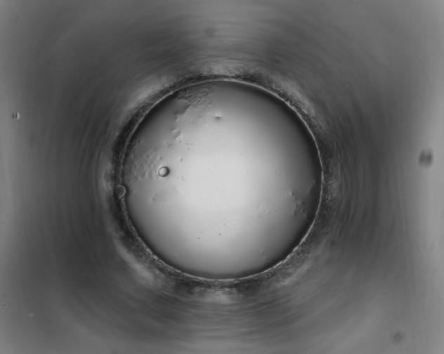 X0000102290683200807251422