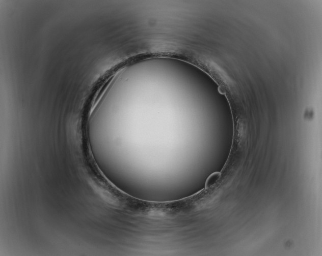X0000102290684200807251422