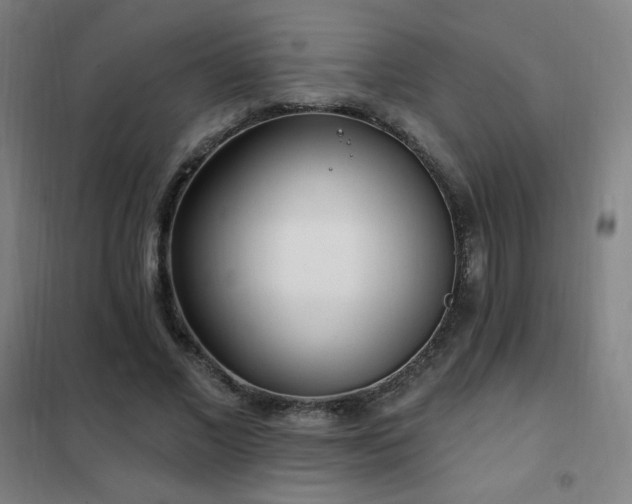 X0000102290685200807251422