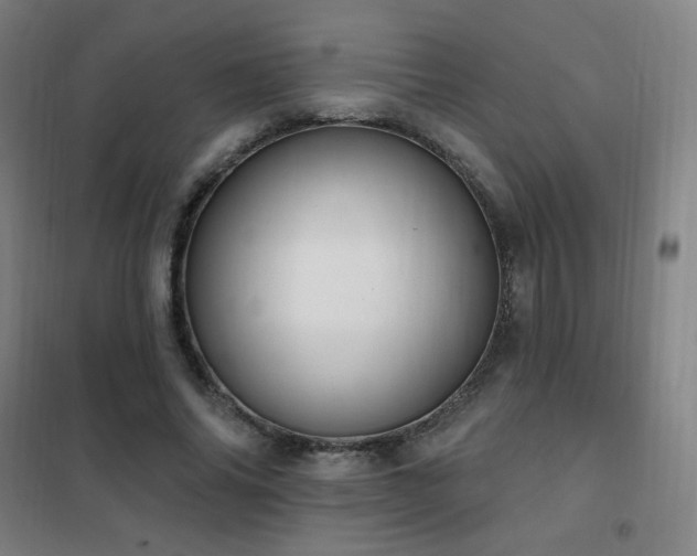 X0000102290686200807251422