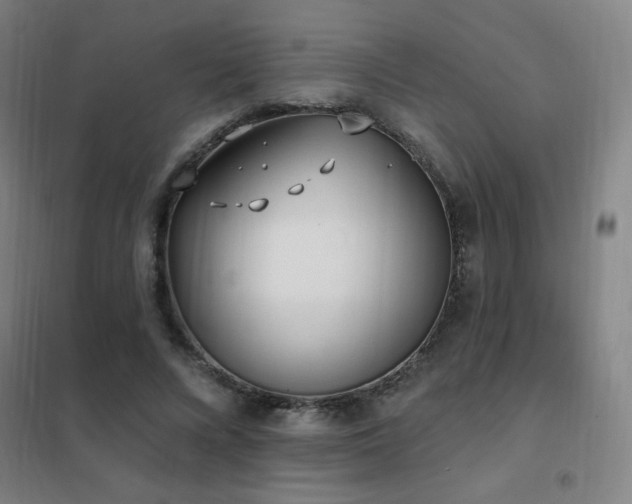 X0000102290688200807251422