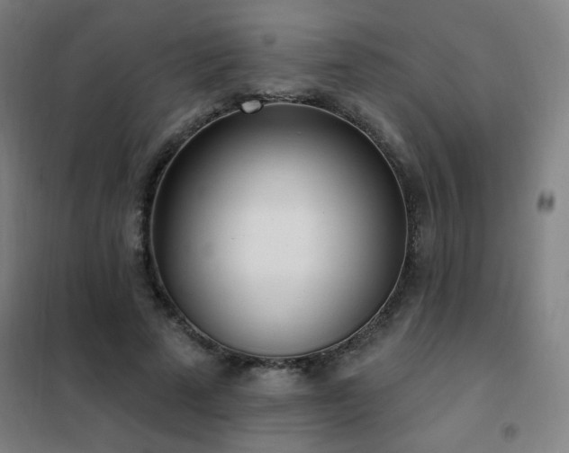 X0000102290689200807251422