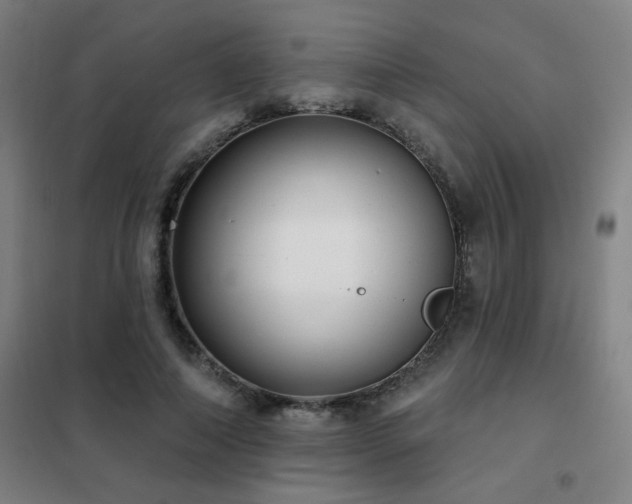 X0000102290690200807251422