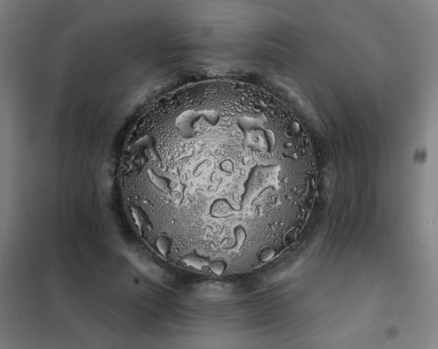X0000102290691200807251422