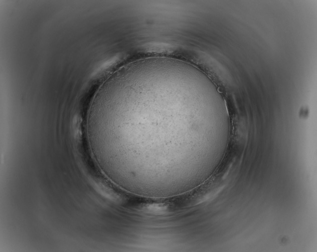 X0000102290692200807251422