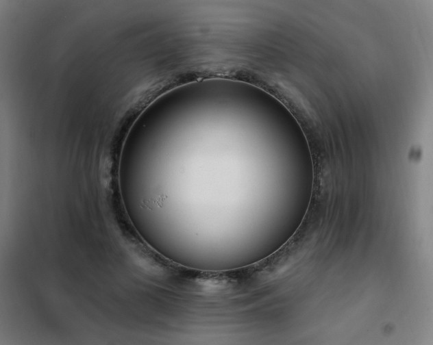 X0000102290693200807251422