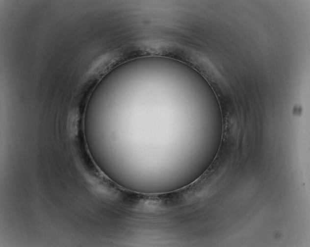 X0000102290694200807251422