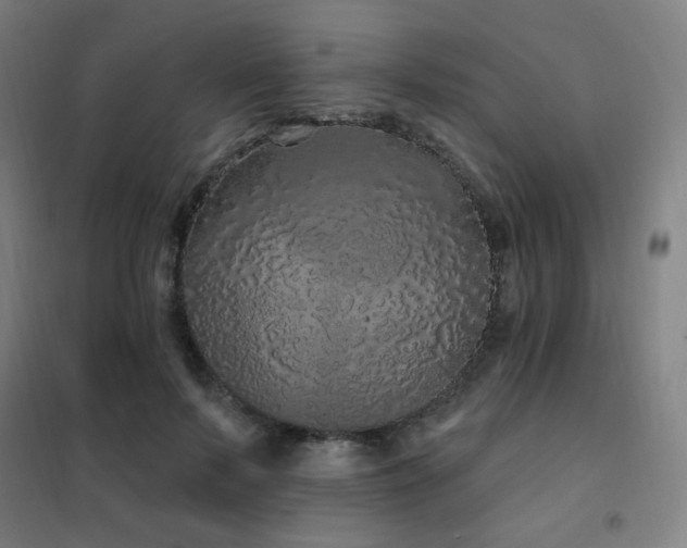 X0000102290695200807251422