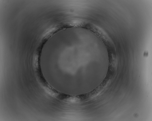 X0000102290696200807251422