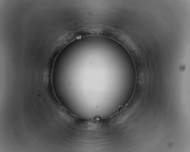 X0000102290697200807251422