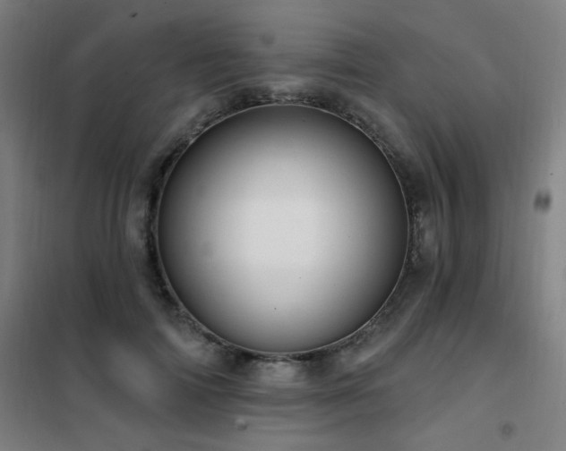X0000102290698200807251422