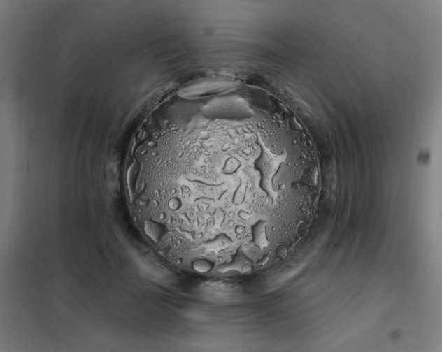 X0000102290699200807251422