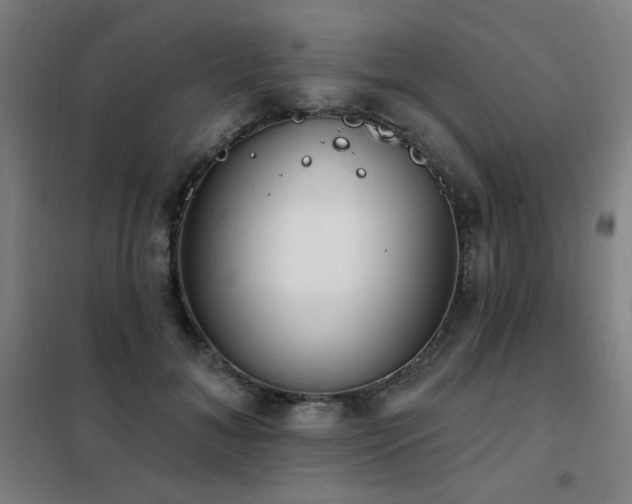 X0000102290700200807251422