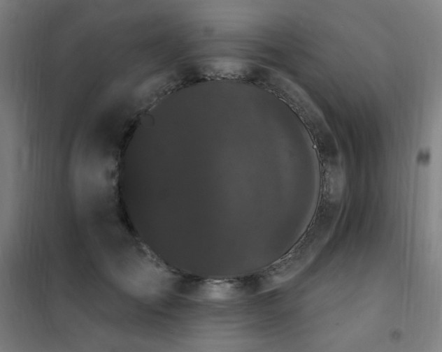 X0000102290701200807251422