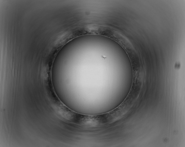 X0000102290702200807251422