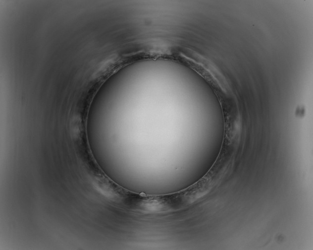 X0000102290704200807251422
