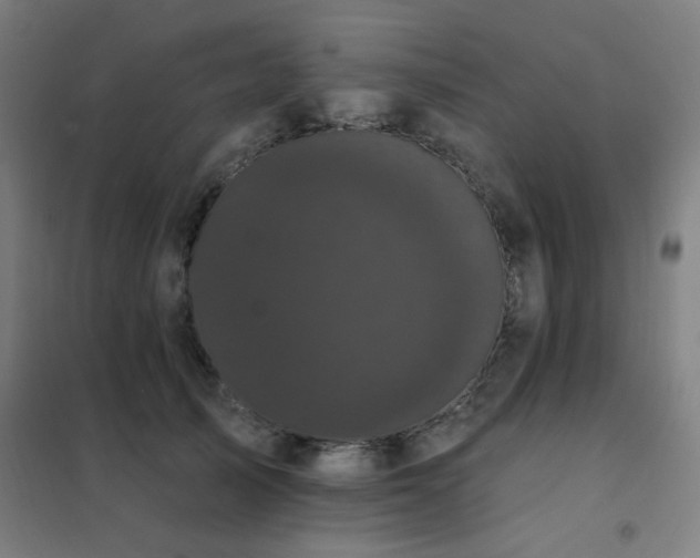 X0000102290705200807251422