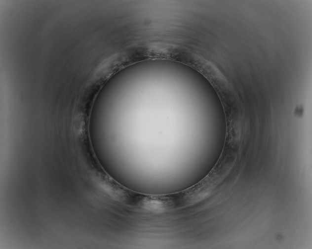 X0000102290706200807251422