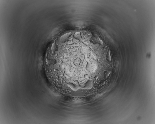 X0000102290707200807251422