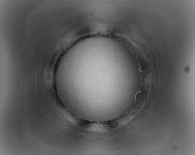 X0000102290708200807251422
