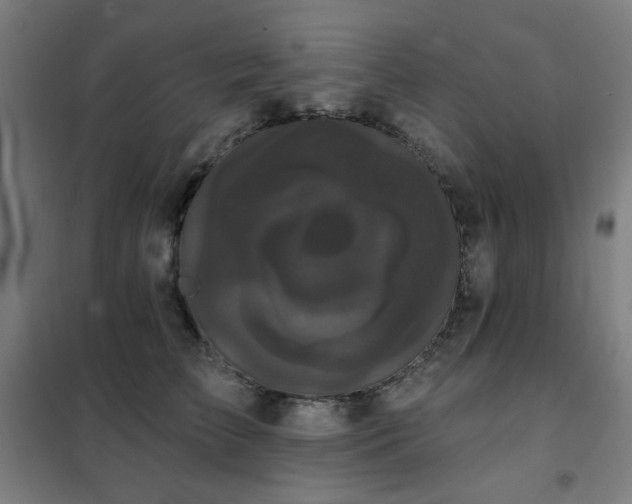 X0000102290709200807251422