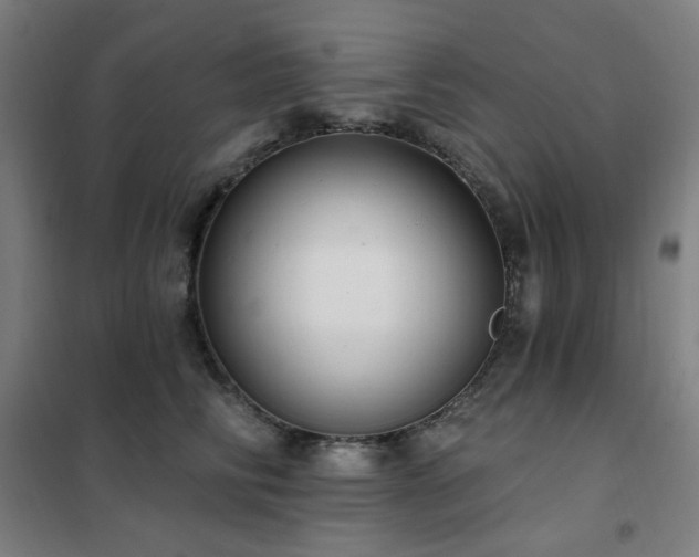 X0000102290710200807251422