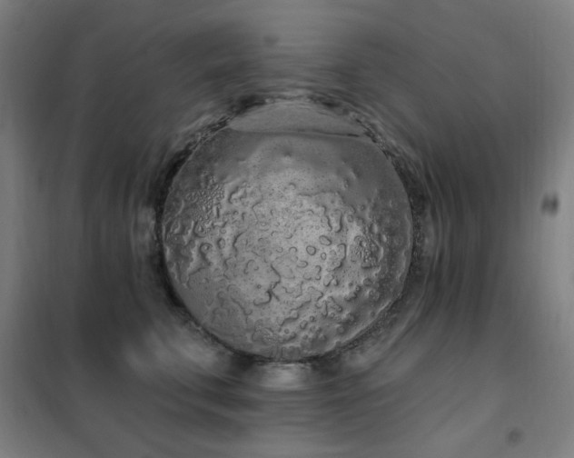 X0000102290711200807251422