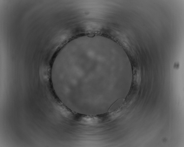 X0000102290712200807251422