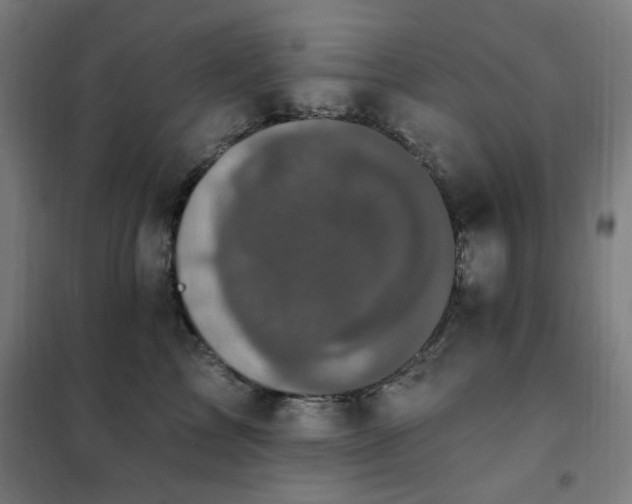 X0000102290713200807251422